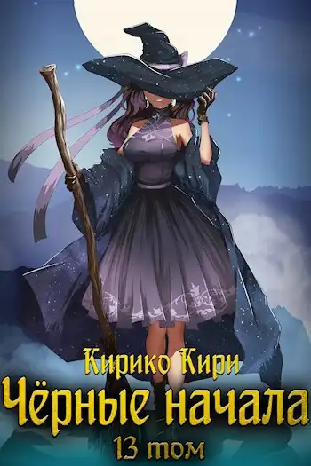 Чёрные начала. Том 13